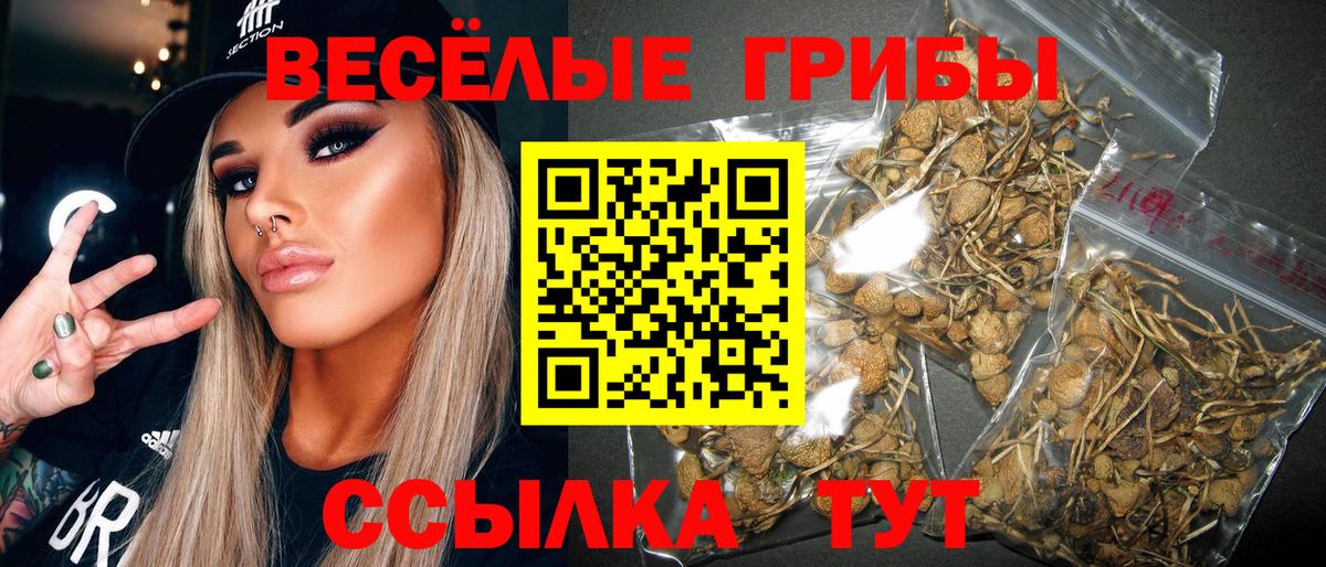 Галлюциногенные грибы прущие грибы  Галлюциногенные грибы ЛСД  Вход с VPN  Тольятти 